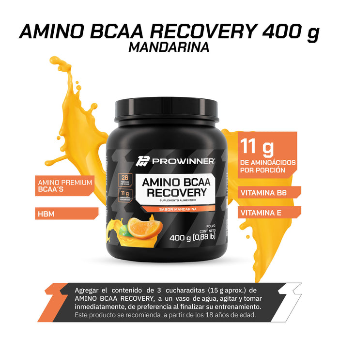 Amino BCAA Recovery sabor Mandarina 400 gramos - ProWinner